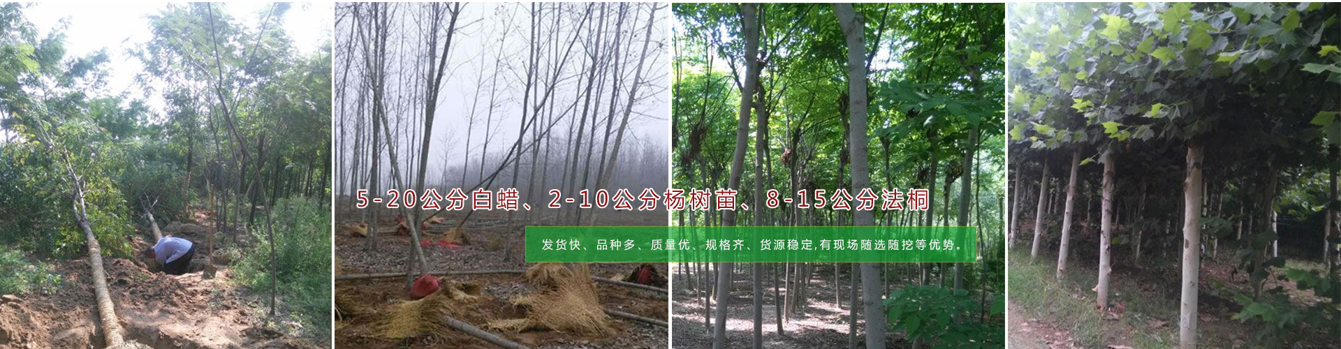 無(wú)憂商務(wù)